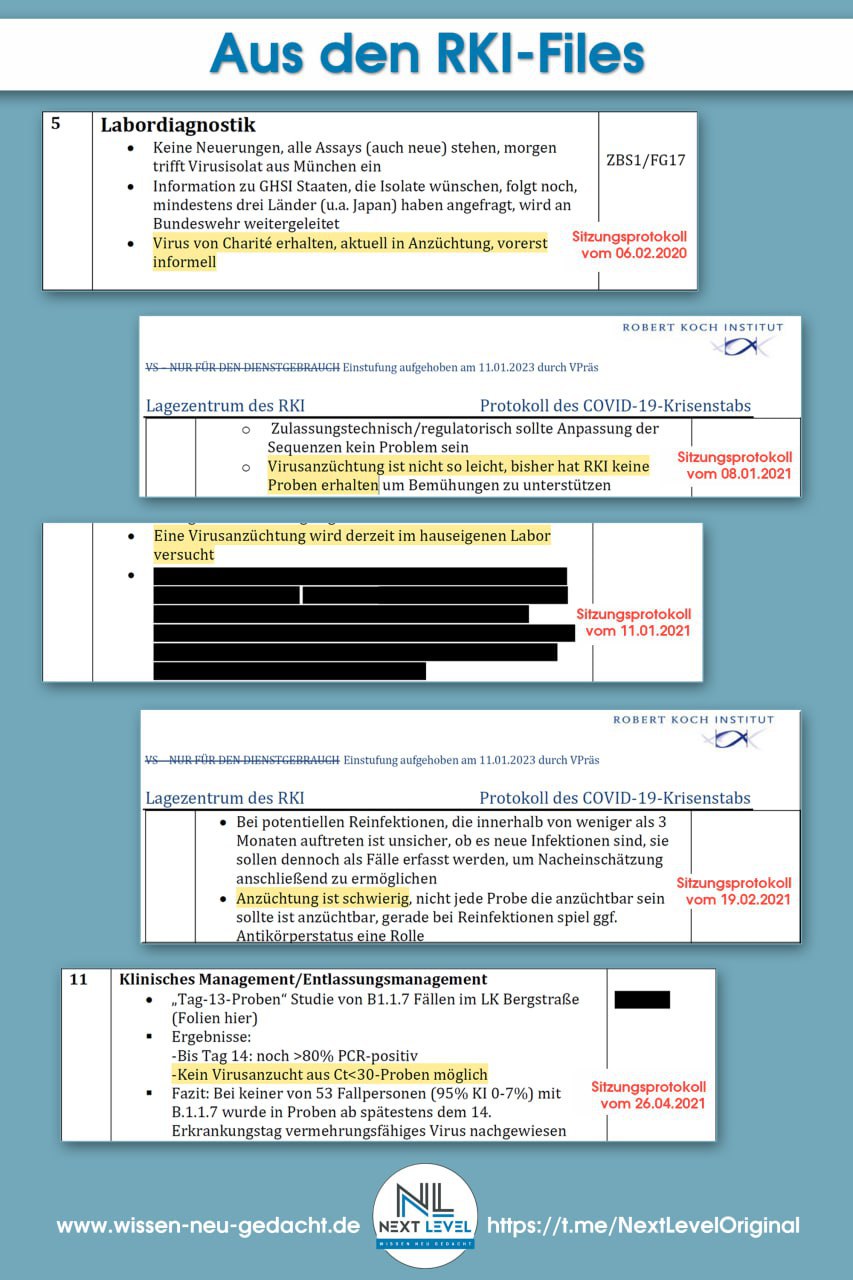 RKI-Files – Krisenstabsprotokolle zur Virusanzüchtung
